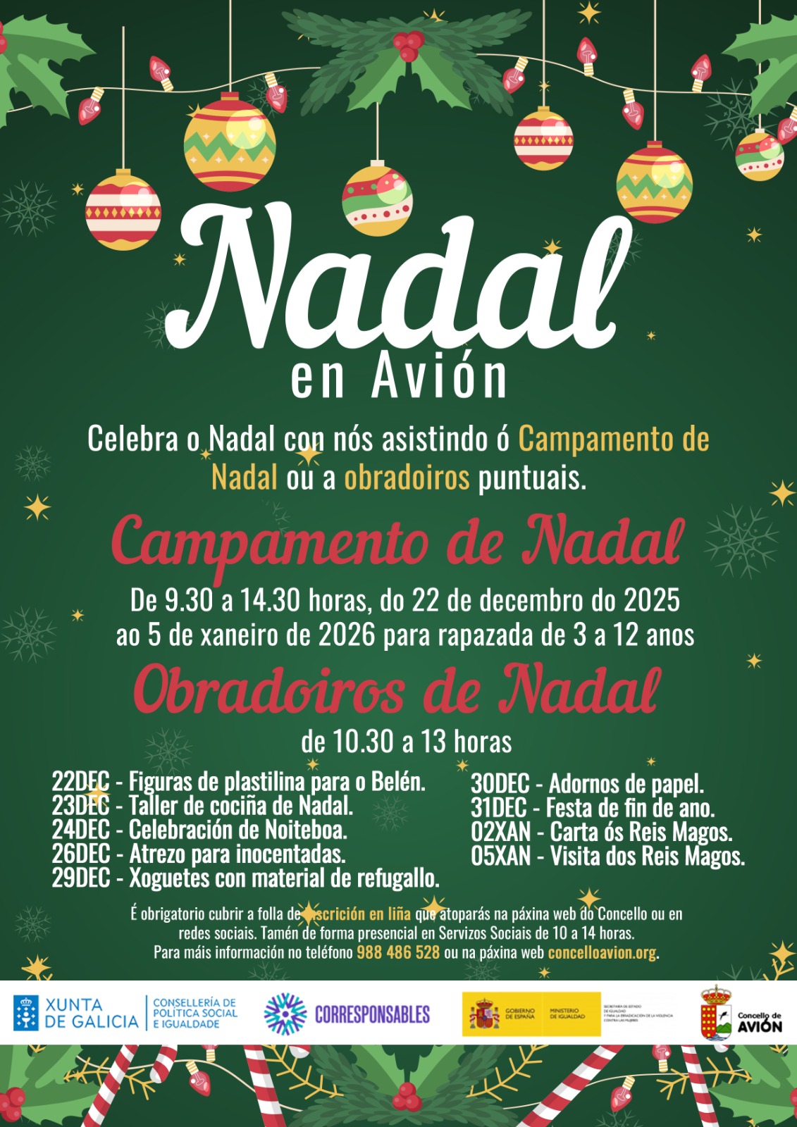 Campamento e Obradoiros de Nadal Avión